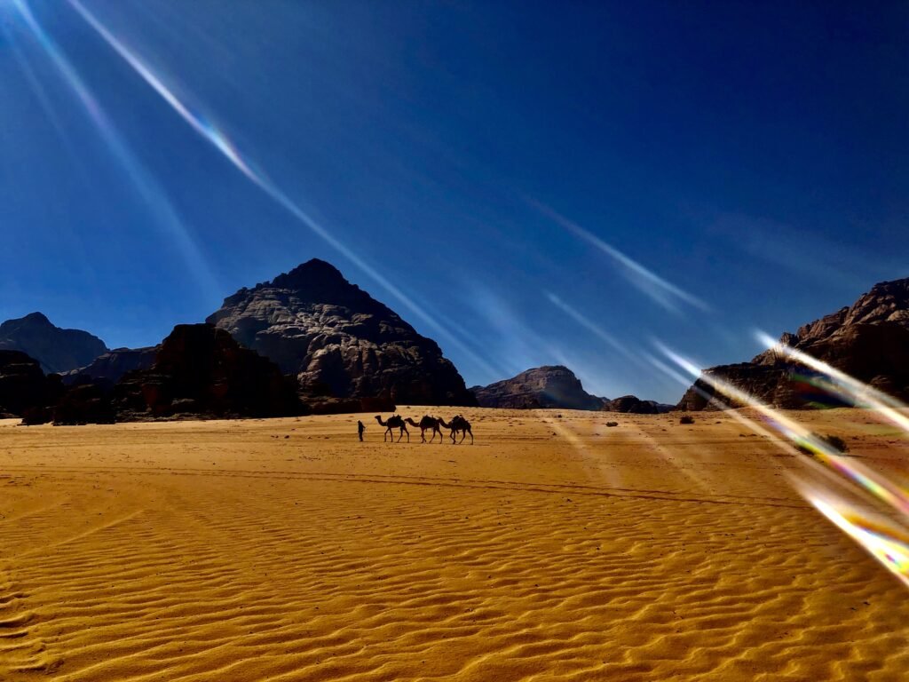 微信图片 20220407180739 1024x768