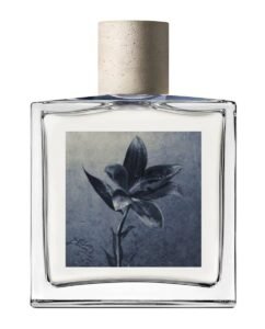 custom design cement concrete fragrance perfume cap manufacturer supplier